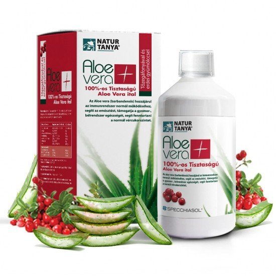 Specchiasol Aloe vera ital tőzegáfonyás, erdei gyümölcsös 100% tisztaságú 1000ml