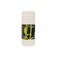 Stevia crysa nova por 50g