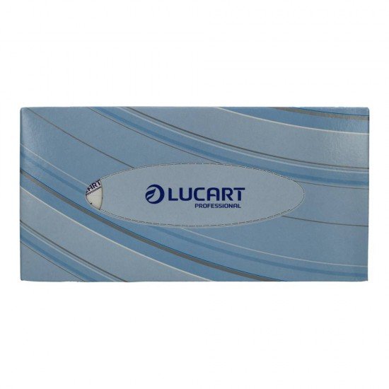 Lucart strong kozmetikai kendő 100db Lucart strong kozmetikai kendő 100db