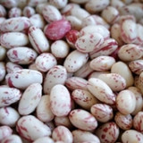 Borlotti bab termékek