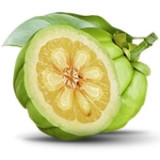 Garcinia cambogia termékek