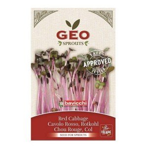 Bavicchi Bio Vöröskáposzta csíráztatáshoz 12g