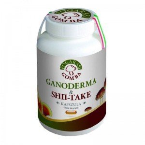 Fogarasi ganoderma shii-Take kapszula 90db