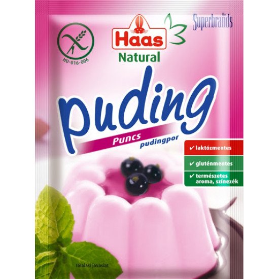 Haas puding puncs natural 40g 