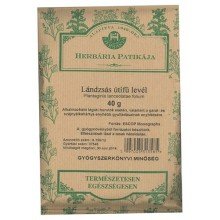 Herbária útifűlevél tea 40g 