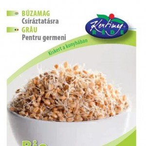 Réde étkezési búza csíráztatásra 50g 