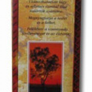 Füstölö gold absolute chandan 10db