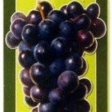 Viniseera szőlőmag mikro-Őrlemény 250g 
