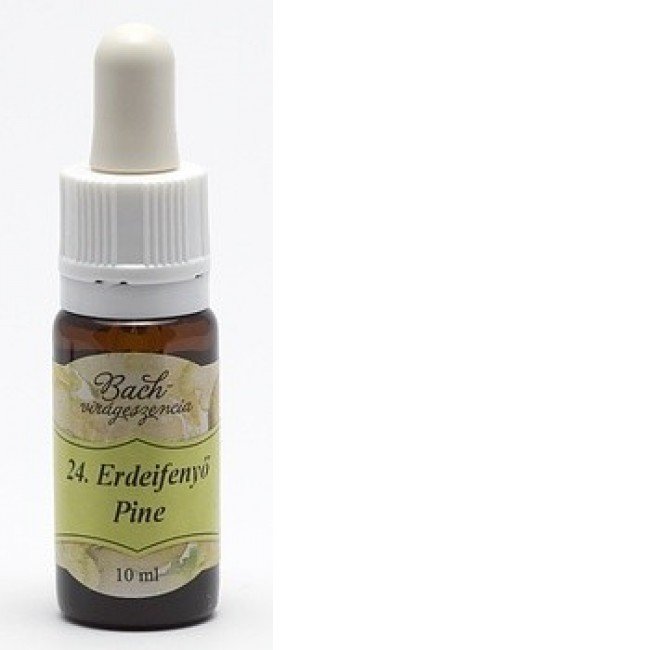 Bach virágeszencia erdeifenyő 10ml