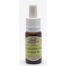 Bach virágeszencia fehér vadgesztenye 10ml