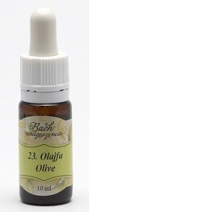 Bach virágeszencia olajfa 10ml