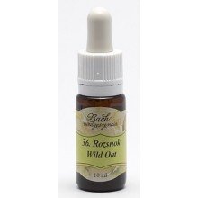 Bach virágeszencia rozsnok 10ml