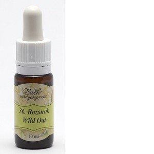 Bach virágeszencia rozsnok 10ml
