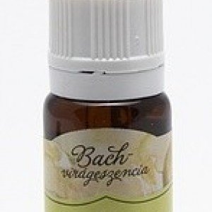Bach virágeszencia szelídgesztenye 10ml