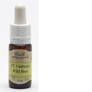 Bach virágeszencia vadrózsa 10ml