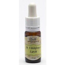 Bach virágeszencia vörösfenyő 10ml