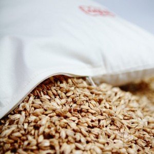 Prana tönkölyhéj 500g Prana tönkölyhéj 500g